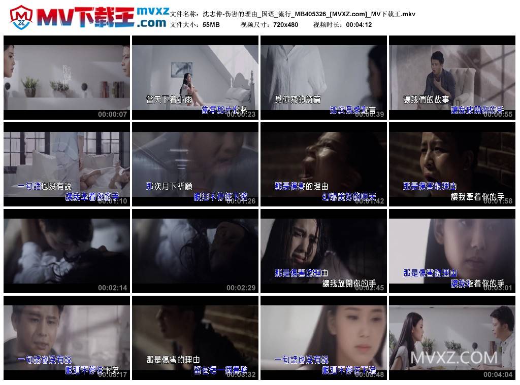 沈志仲-伤害的理由_国语_流行_MB405326